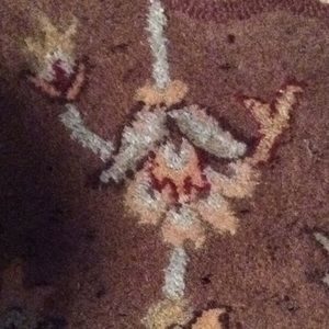 Meet your Posher, Rosie